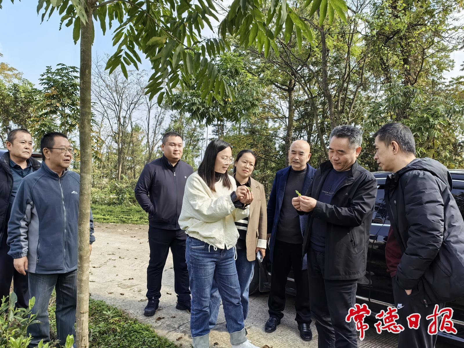 政企聯(lián)合赴石門縣勝利村調研產業(yè)幫扶工作